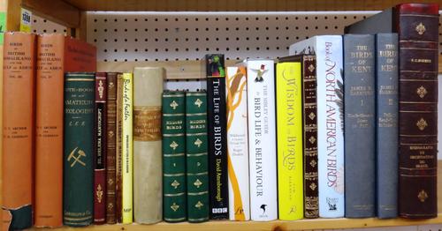NATURAL HISTORY - older & newer books; including Bell's British Reptiles (1839); Lee's Note-Book of an Amateur Geologist (1881); also Manuscript Trans