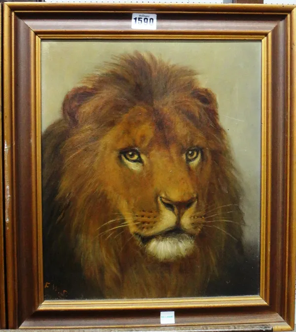 F** W** S** (early 20th century), Lion; Tiger, a pair, oil on canvas, both signed with initials, each 35cm x 29cm.(2)
