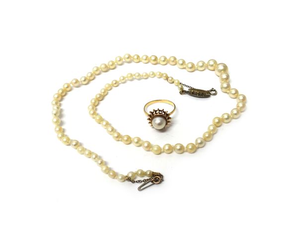 A single row necklace of graduated cultured pearls, on a paste set clasp, length 41.5 cms, gross weight 13.0 gms, and a gold and cultured pearl set ri