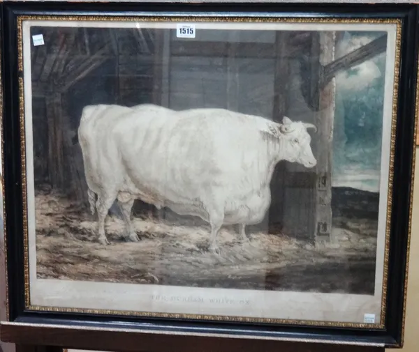 After G. Garrard, The Durham White Ox, colour mezzotint by William Ward, 50cm x 60cm.
