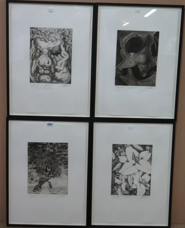 J** Haupffmann (20th century) Shostakovic's th Symphonie, A set of eleven etchings with aquatint, each approx 28cm x 21cm: together with a further fif
