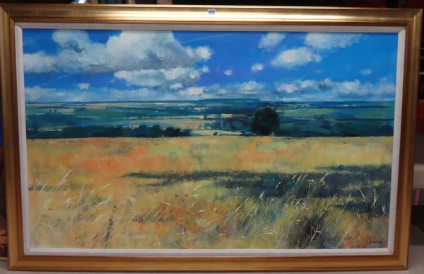 Neil Canning (b.1960), Landscape with clouds, oil on canvas, signed, inscribed and dated '13 on the reverse, 90cm x 151cm. DDS