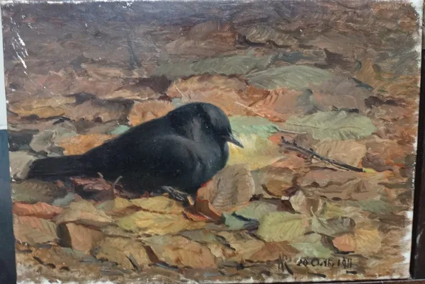 Niels Peter Rasmussen (1847-1918), Studies of birds among leaves, two, oil on canvas, both signed with initials and dated, one 19 Oct 1911, the other
