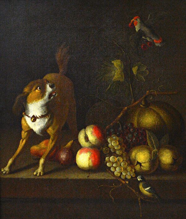 Circle of Jakob Bogdani, still life with parrot ad dog, oil on canvas, 75cm x 62cm.  Illustrated