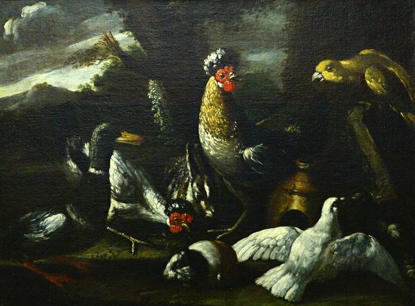 Genoese School (17th century), a concert of birds, oil on canvas, 71.5cm x 96cm.  Illustrated