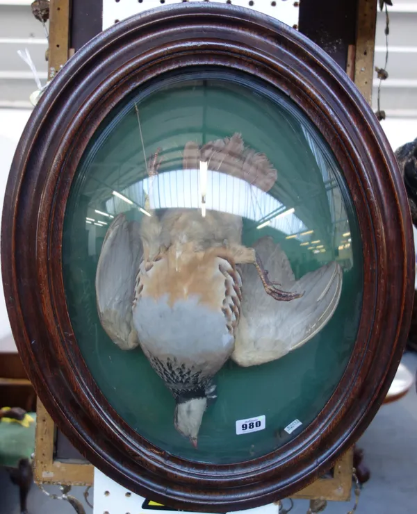 Taxidermy; a stuffed French partridge and a teal duck, each housed in an oval oak glazed frame, with paper label to the rear for French taxidermist 'D