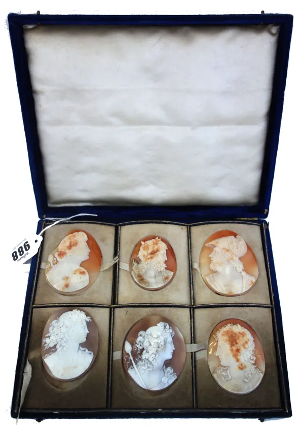 A set of six unmounted carved cameo shell brooches, late 19th century, depicting Medusa and five further classical busts (a.f), 6cm, cased, (6).