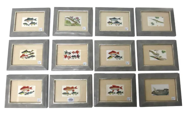 A set of twelve Chinese paintings on rice paper, 19th century, painted with various fish and aquatic life, 5.5cm. by 9cm., mounted, framed and glazed.