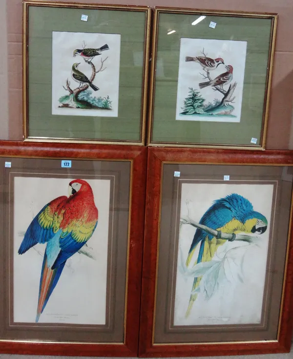 A quantity of assorted pictures and prints, including four bird prints, a pair of colour etchings by Tatton Winter, and others.(qty)   G1