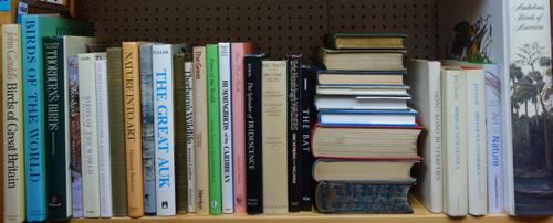 AUDUBON (J.)  Audubon's Birds of America; edited by Roger Tory Peterson  . . .  many coloured illus. throughout (mostly full-page); lettered buckram i