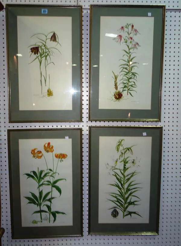 A group of five framed prints of botanical studies of lilies, (5).  C10