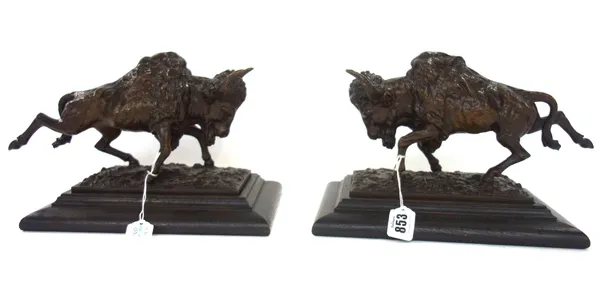A pair of patinated bronze models of bison, late 19th century, each modelled charging on a rectangular naturalistic base and stepped wooden plinth, th
