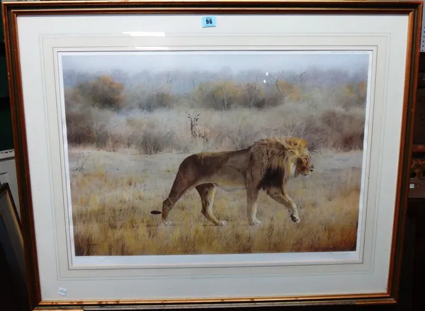 Kim Donaldson (b.1952), Lion, colour reproduction print, signed and numbered 718/850, 48cm x 69cm.  I1