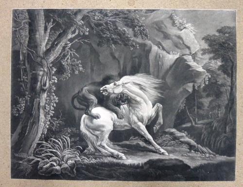 After George Stubbs, The horse and the lion, two mezzotints, unframed, each approx 41.5cm x 51.5cm.(2)