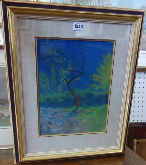 Edouard Debourg (1880-1939), Tree against blue sky, pastel, 31cm x 24cm.
