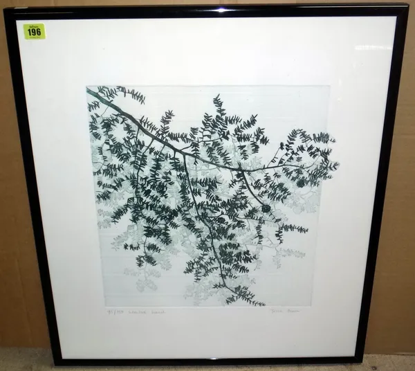 Tessa Beans (British Contemporary), Hemlock Branch, print, signed, inscribed and numbered 95/150, 39.5 by 39cms   A7B270- 6Please note this lot is sub