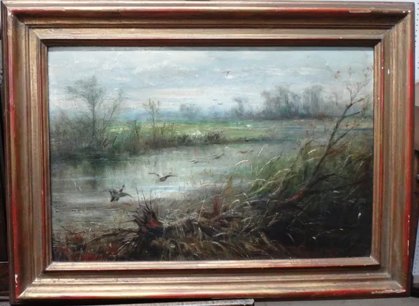 English School (c.1900), Ducks in flight, oil on canvas, 26cm x 39cm. I1