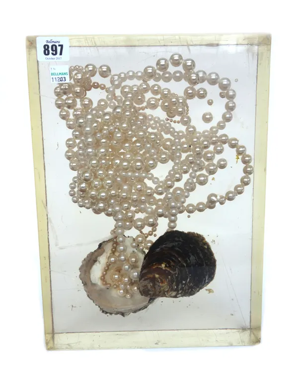 An unusual contemporary sculpture 'Pearls and Oysters in Perspex', of rectangular form, 33cm x 24cm x 6.5cm.