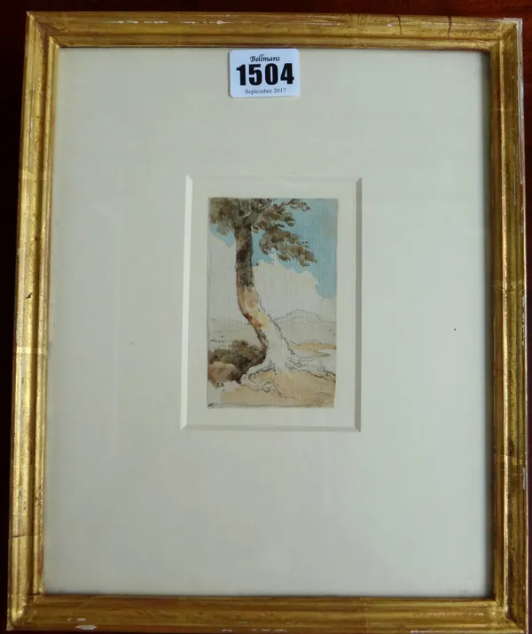 George Chinnery (1774-1852), A tree, watercolour over pencil, 9.5cm x 5.5cm.Provenance: with Spink.