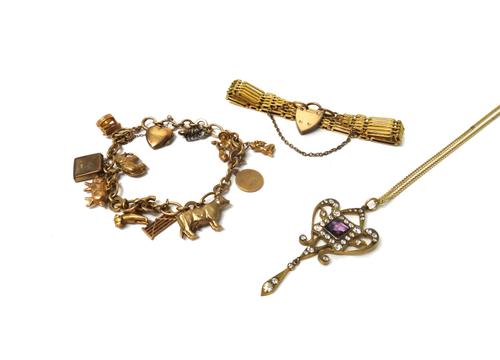 A 9ct gold, oval link charm bracelet, on a boltring clasp, fitted with a variety of mostly 9ct gold charms, including; an elephant, a pig, a dog and a