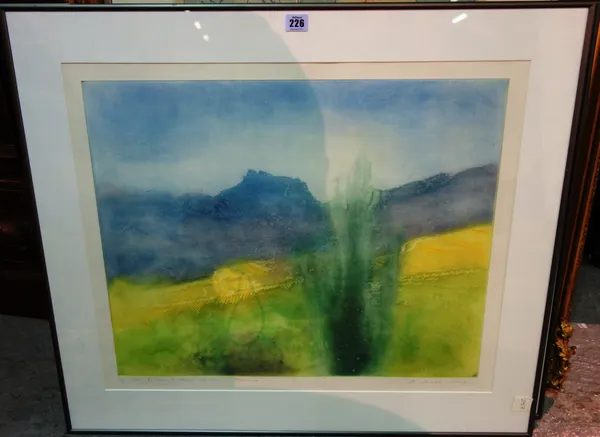 Anthony Wilkinson (20th century), Evening landscape, Provence; From the road to Baume de Venice, Provence, a pair of colour lithographs, both signed,