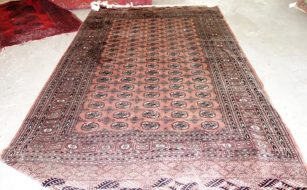 A large Pakistan Bokhara carpet.   E5