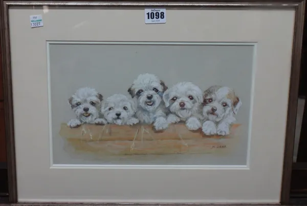 Mabel Gear (1900-1997), Puppies, watercolour and gouache, signed, 19.5cm x 30cm. DDS