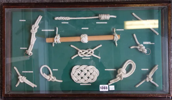 A collection of sailor's knots, each mounted with a titled card beneath, contained in three wooden glazed frames, 67.5cm wide, (3).