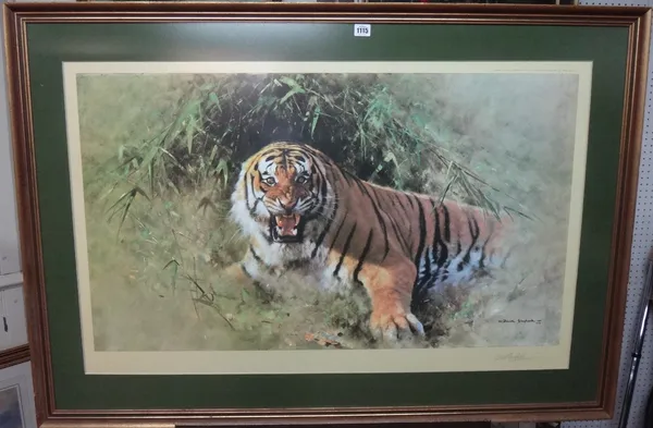 David Shepherd (1931-2017), Tiger Fire, colour print, signed, 56cm x 100cm. DDS