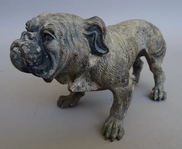 An Austrian cold painted bronze model of a bulldog standing on all fours, early 20th century, unsigned, 15cm wide.