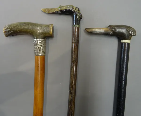 Two early 20th century horn mounted 'dog's head' walking sticks, one with a later shagreen collar (91cm) and one further horn mounted walking stick, w