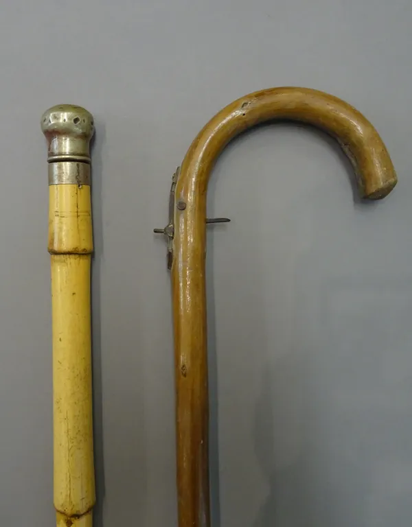 A rare and unusual 'Catapult' walking cane, early 20th century, of natural form with gilt metal mounts (92.5cm) and an early 20th century 'horse measu