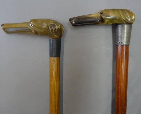 An early 20th century horn and silver mounted 'dog's head' walking stick, with carved horn handle and silver collar hallmarked Birmingham 1912 (93cm)
