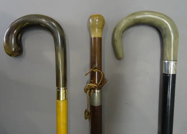 Two early 20th century, umbrella gadget cane walking sticks, each with horn handles (89cm) and a horn handled ebonised stick with indistinctly hallmar