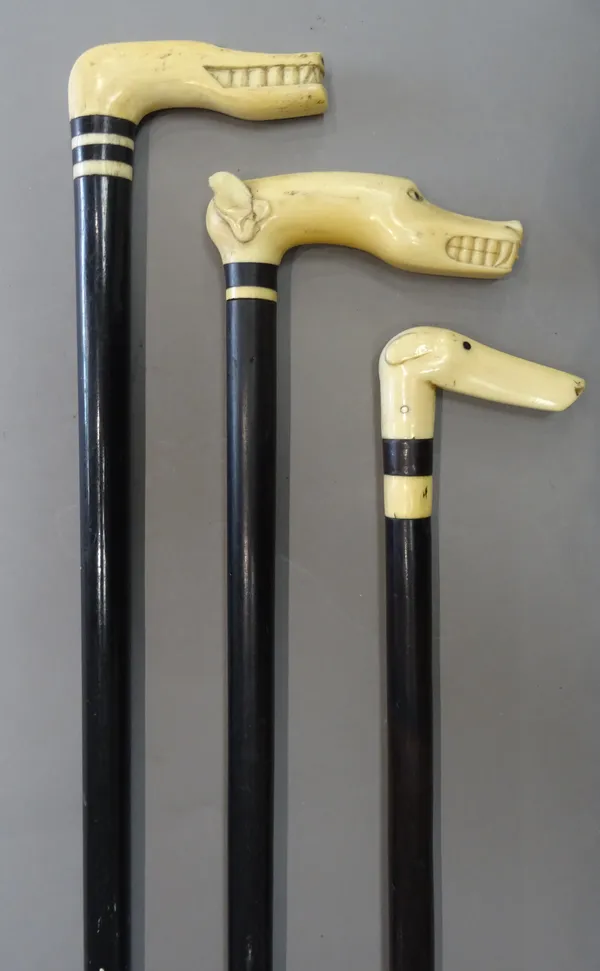 Three late 19th century ivory mounted 'dog's head' walking sticks, each ivory handle crudely carved over a tapering ebonised shaft, the longest 90.5cm
