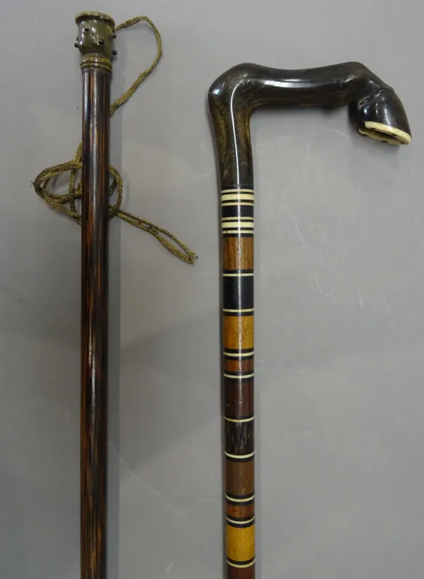 A Victorian specimen wood walking stick, with horn 'horses hoof' handle (90.5cm) and a Macassar ebony and horn mounted lady's cane with carved pommel