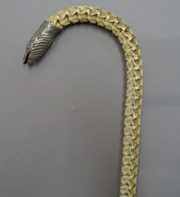 A rare silver mounted snake vertebrae walking stick, late 19th century, with silver serpent head finial, 94cm.