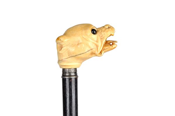 A Victorian ivory and ebonised walking cane, the carved ivory bull dog's head pommel with inset glass eyes and a hallmarked silver collar over an ebon