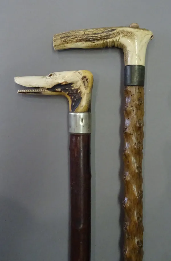 A Victorian horn 'dog's head' walking stick, with inset glass eyes and white metal collar (85.5cm) and a Victorian gadget walking stick, the naturalis