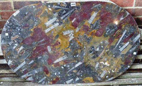 Devonian period; an oval limestone fossil table top, containing orthoceras, mostly purple, 100cm x 60cm.