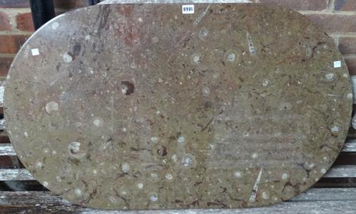 An oval limestone fossil table top, containing orthoceras and goniatites, mostly brown, 100cm x 60cm.