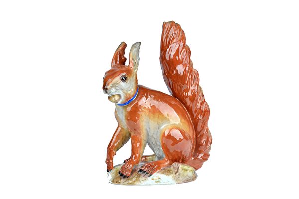 A Meissen outside-decorated figure of a red squirrel, late 19th century, after a model by J.J. Kaendler, modelled seated with a nut in its mouth, wear