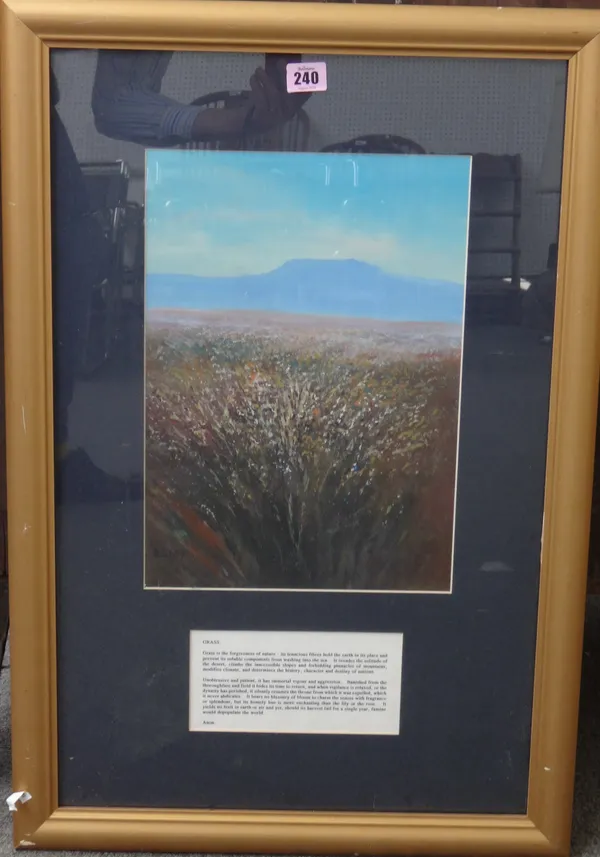 Dale Elliot (b.1946), Grass, South Africa, oil on board, signed, 37cm x 26cm. DDS  D1