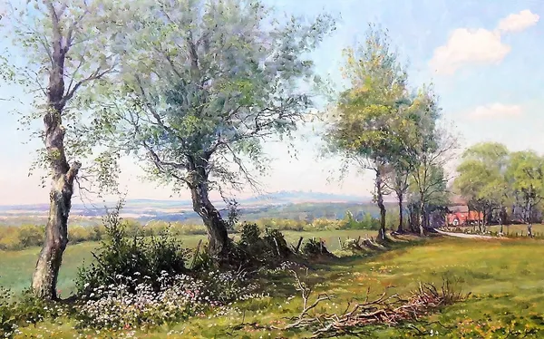 Mervyn Goode (b. 1948), Sunshine on the spring flowers, oil on canvas, signed, inscribed on overlap, 50cm x 80cm. DDS