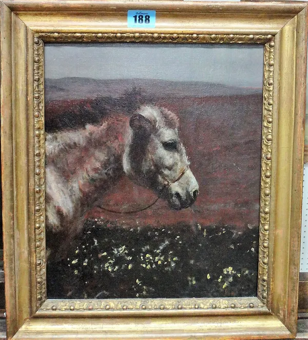 English School (late 19th century), Donkey, oil on canvas, 30cm x 25cm.  E1