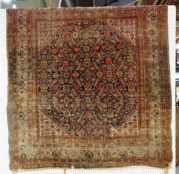 A Fereghan rug, indigo field, 205cm x 184cm.  C4