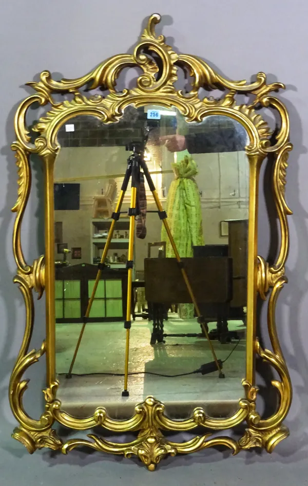 A Rococo style gilt wall mirror, 70cm wide x 117cm high.   C5