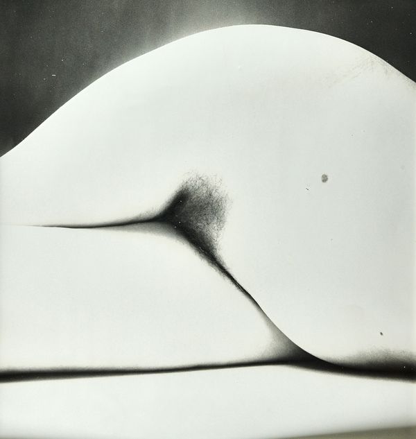 IRVING PENN  (1917 - 2009)  Nude 65, 1949.vintage gelatin silver print, printed 1949 - 1950. mounted, annotations on the verso - limitation one of 23