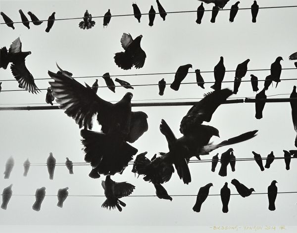 NICK ROSS  (Contemporary)  Birdsong - Yangon (Burma) 2014, archival pigment print, titled, dated and initialled lower r.h. on the margin, numbered PP3