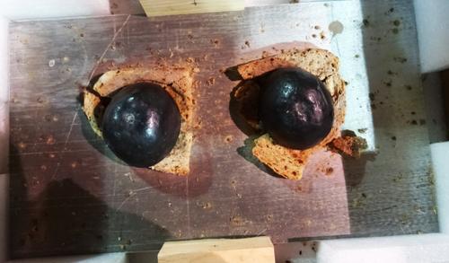 Georg Herold (German 1947-), Ohne Titel, mixed media sculpture formed as rotting bread, (a.f). DDS  C4